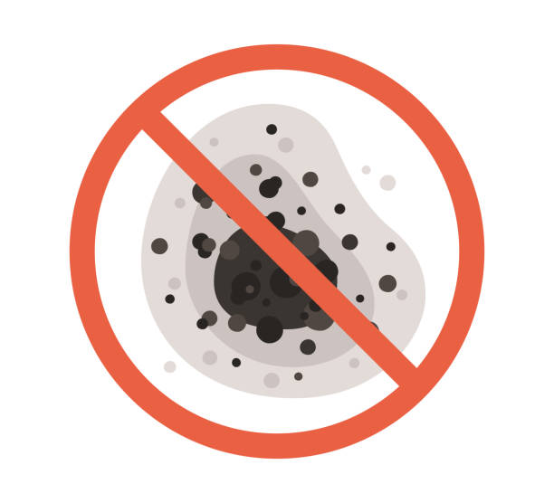 Best Airborne Mold Testing  in Tampa, FL