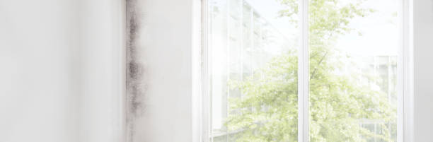 Best Indoor Air Quality Assessment  in Tampa, FL